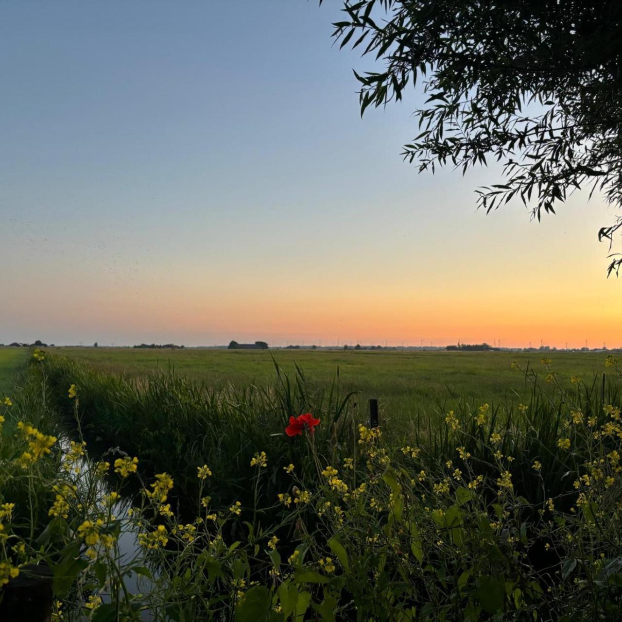 Aan De Hoge Weg Bed and Breakfast Kamperveen Eksteriør billede