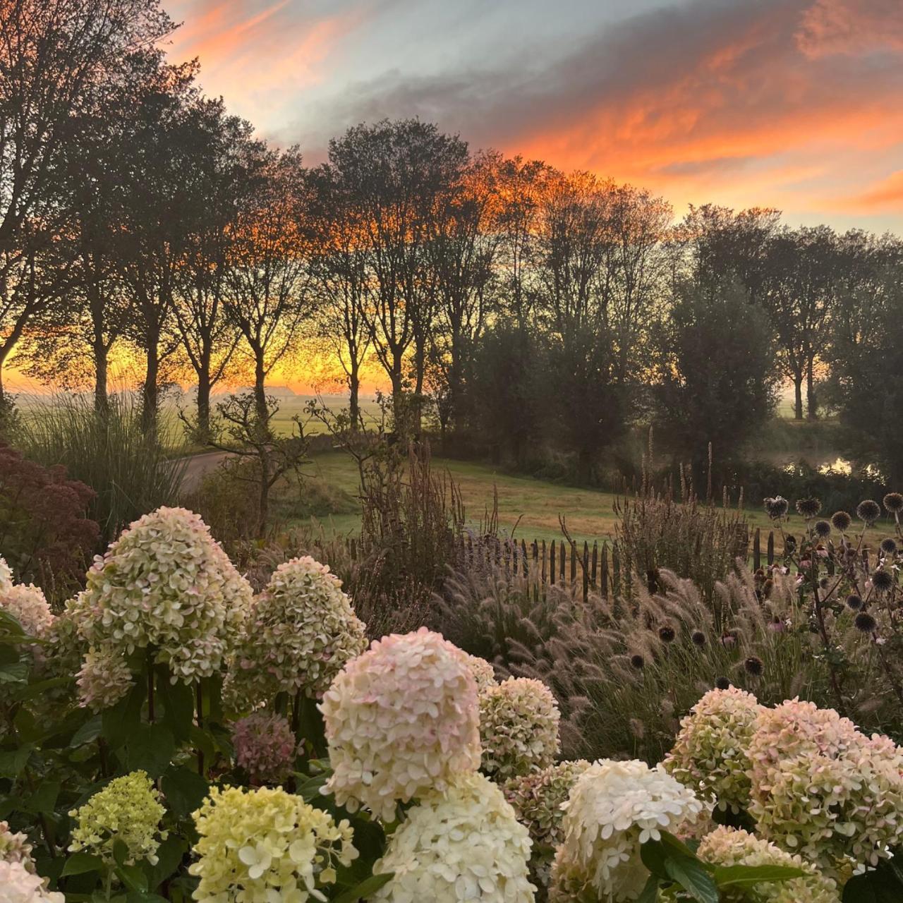 Aan De Hoge Weg Bed and Breakfast Kamperveen Eksteriør billede