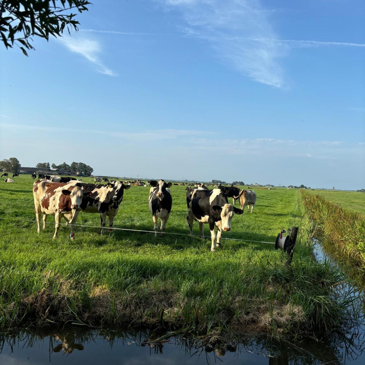 Aan De Hoge Weg Bed and Breakfast Kamperveen Eksteriør billede